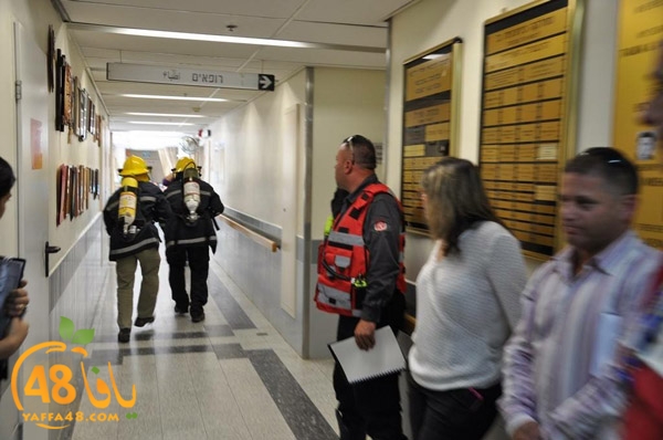 tamren asaf harof3e (19).jpg